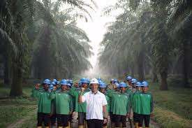 Sistem Pemantauan Termal untuk Mendukung Stabilitas Operasional Perkebunan